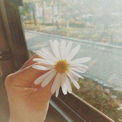 春季养生正当时，专家给出“健康锦囊”