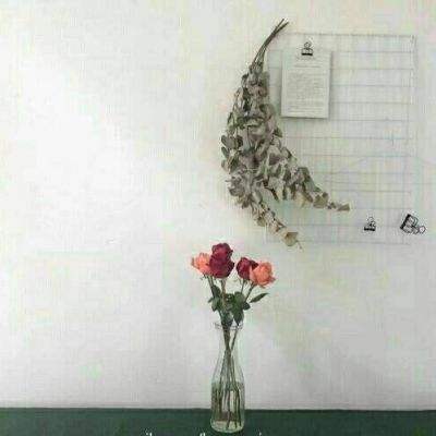 布衣神相电视剧