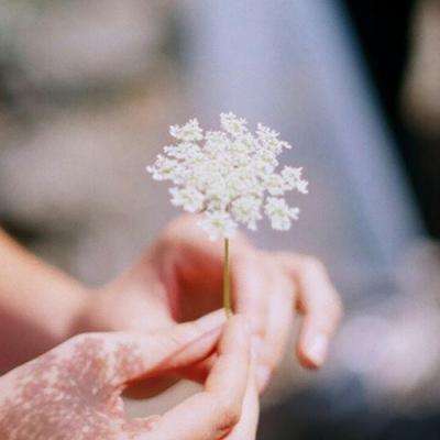 提高知识产权保护的整体效能（人民时评）