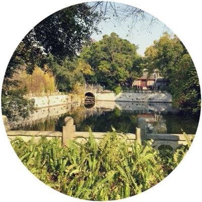 中国建筑:上半年营收同比增长28.6%