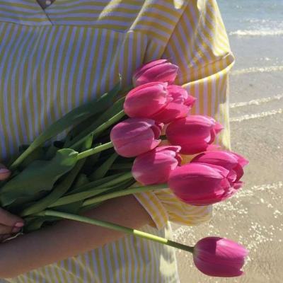 好评中国|青春筑梦智护安澜