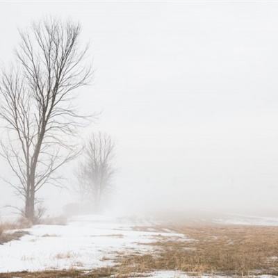 北京大兴:“老字号”同仁堂开出“新方子”