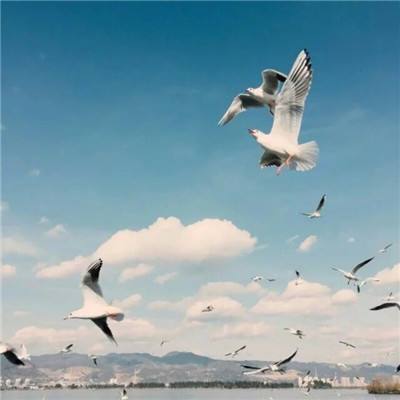 无翼乌全彩工口无遮无码HR18