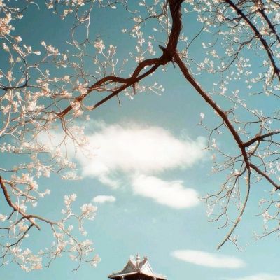 星夜,无形战场鏖战急