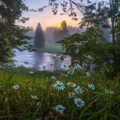 成人福利app导航秘 涩涩屋