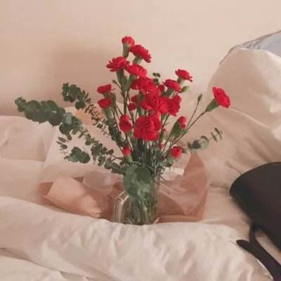 罗技短视频组被扣除全部绩效