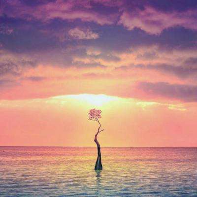 小蝌蚪app丝瓜无限看下载