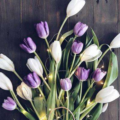 k频道网络共享视频系统