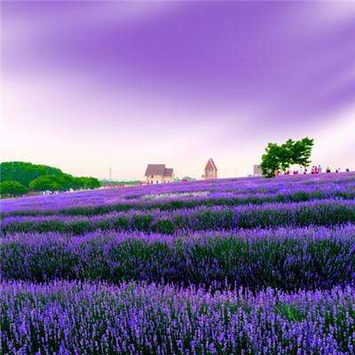 03版 -“这是将来雄安产业发展的基本底气”