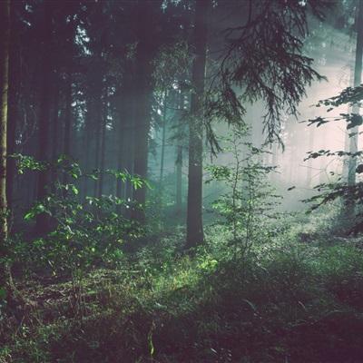 首届俄罗斯-中国互利合作“萌芽”论坛挖掘双边合作潜力