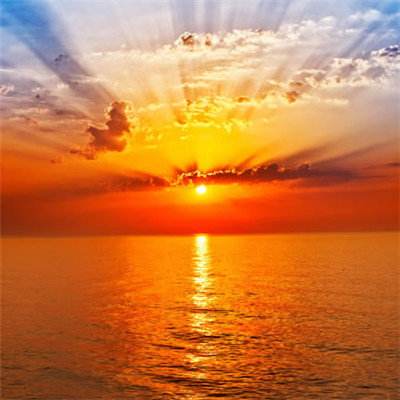 开颅抓出3厘米活虫