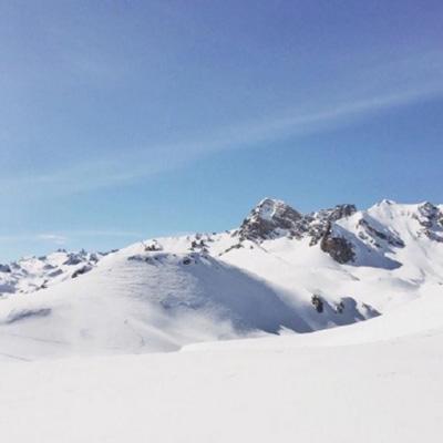 共赴中关村论坛科技盛宴:未来已来,多国代表看好中国