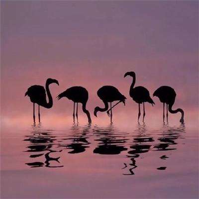 『珠宝』全球一周：英国伦敦将拍卖一颗罕见26.36ct圆形明亮式切割钻石