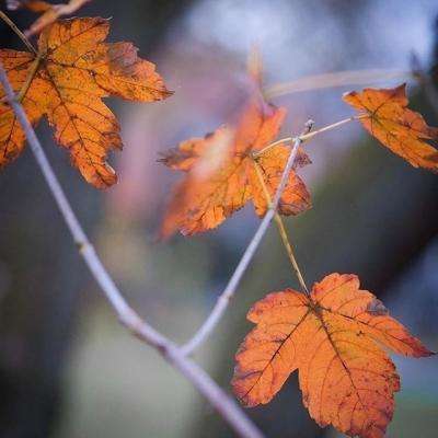 推动责任落实 健全长效机制